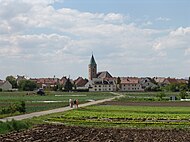 Spesielle avlinger i Sennfeld ved portene til byen