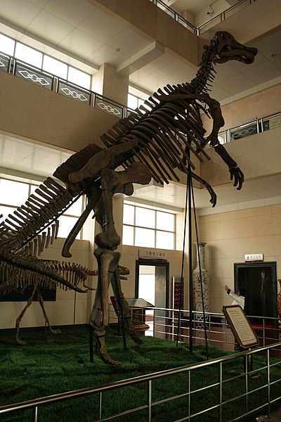 Shantungosaurus.jpg