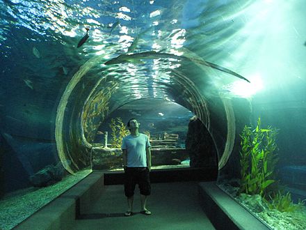 Siam Ocean World underwater tunnel