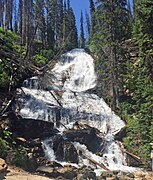 Skalkaho Falls de Montana Highway 38 al Bosc Nacional Bitterroot