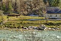 Soča river in Triglav National Park