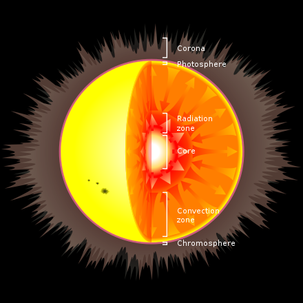 This diagram shows a cross-section of a Sun-like star, showing the internal structure.