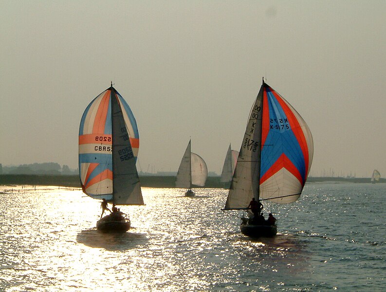 File:Spinnakers on the River Crouch.jpg