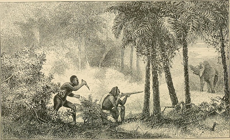 File:Sport in Abyssinia; or, The Mareb and Tackazzee (1876) (14781356422).jpg