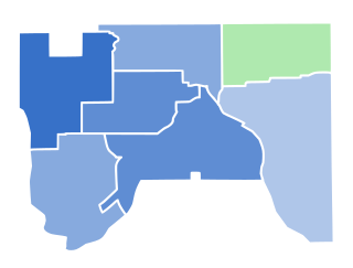 2017 Saint Paul mayoral election