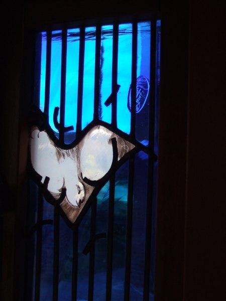 File:Stained glass in the Hospiscare Chapel - geograph.org.uk - 1523751.jpg