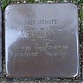 image=File:Stolperstein Goch Wiesenstraße 5 Meta Daniel.jpg