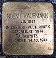 image=https://commons.wikimedia.org/wiki/File:Stolperstein_Kleve_Herzogstra%C3%9Fe_1_Noemi_Kaufmann.jpg