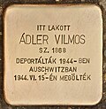 Stolperstein Adler Vilmos számára - Adler Vilmos (Heves) .jpg