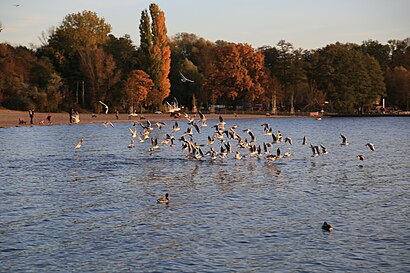 So kommt man zu dem Strandbad Müggelsee mit den Öffentlichen - Mehr zum Ort Hier