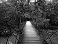 Swinging Bridge crossing Bear Creek