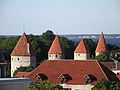 Köismäe tower, Plate's tower, Epping's tower, Tower behind Grusbeke