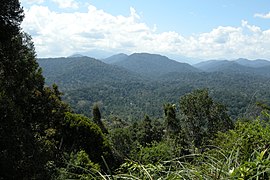 Taman Negara, Malaysia, Panoramic view.jpg