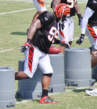 <span class="mw-page-title-main">Tank Johnson</span> American football player (born 1981)