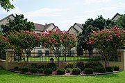 Leibrock Village Graduate Housing