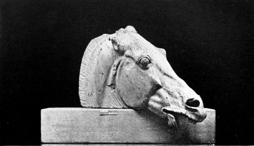 Head of one of the horses of Selene, the moon goddess, from the eastern pediment of the Parthenon