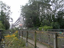 The "Greenway" green corridor runs below and to the east of the houses of Block G. The Greenway behind Block G (Gladstone Place), New England Quarter, Brighton.JPG