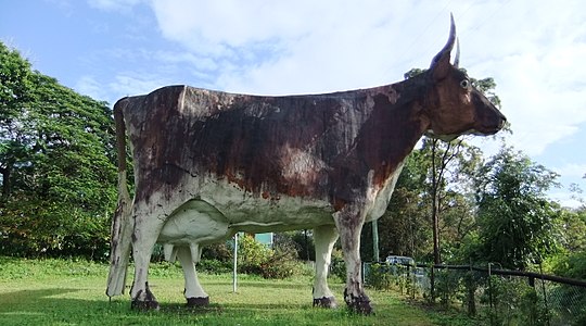 Покажи большую корову. Большая корова. Корова гигант. Сторожевая корова. Немецкая большая корова.