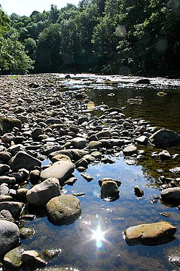 The River Ure - geograph.org.uk - 116750