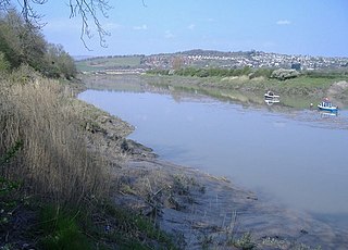 <span class="mw-page-title-main">River Usk</span> River in Wales