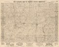 The Sentinel map of Martin County, Minnesota - from personal examinations and public records. LOC 2012593072.tif