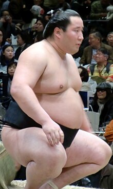 Tokusegawa 2010 leden.JPG