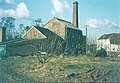 East Kent narrow-leaved elms above Tonge Mill, near Sittingbourne (1969)[5]