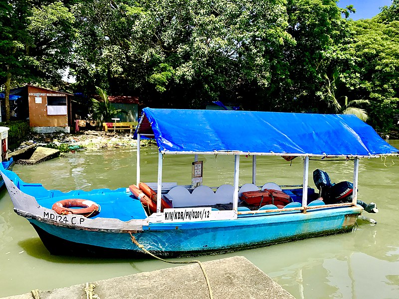 File:Tourist boats near Cochin Shipyard 2.jpg