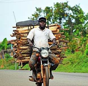 Transport de bois sur moto dans l'Ouémé. Photographe : GBETONGNINOUGBO JOSEPH HERVE AHISSOU