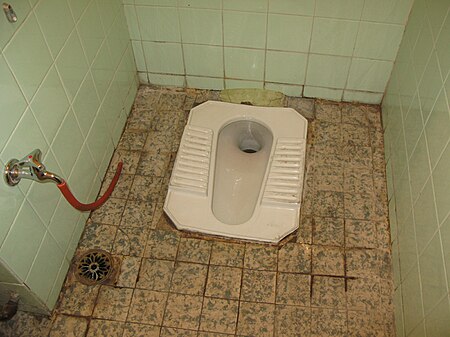 Tập_tin:Typical_toilet_in_urban_Syria-_flush_toilet_squatting_pan_(3232388550).jpg