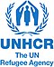 Organización Das Nacións Unidas: Antecedentes e historia, Estrutura, Política