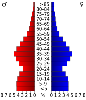 Bevolkingspiramide Williamson County