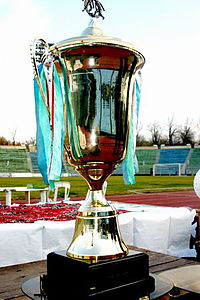 Coppa dell'Uzbekistan.jpg