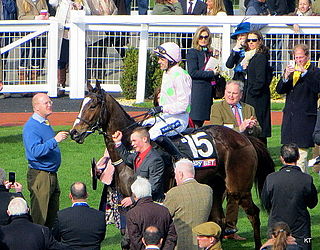 Vautour (horse) French-bred Thoroughbred racehorse