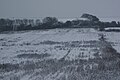 Snow covered fields off Whitwell Road, near Ventnor, Isle of Wight, shortly after heavy snowfall on the island during the night.