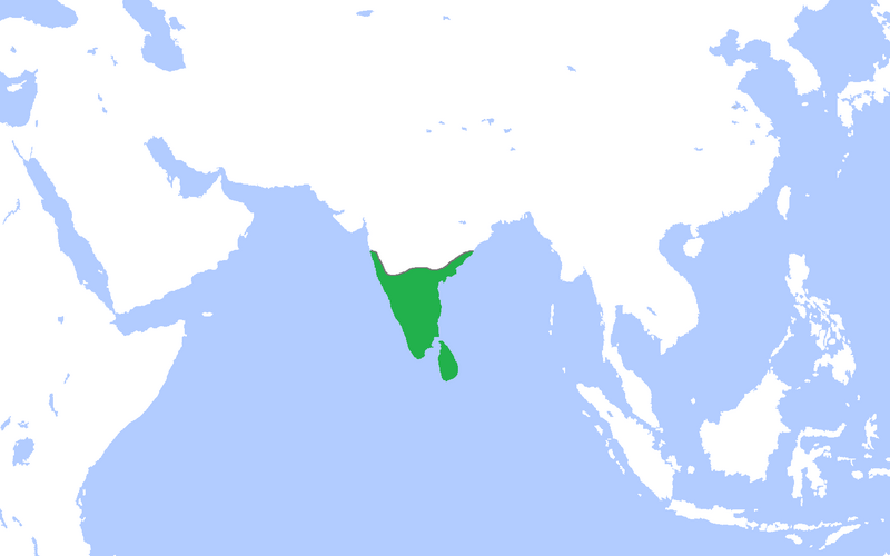 File:VijayanagarGreatest1335-1570.png