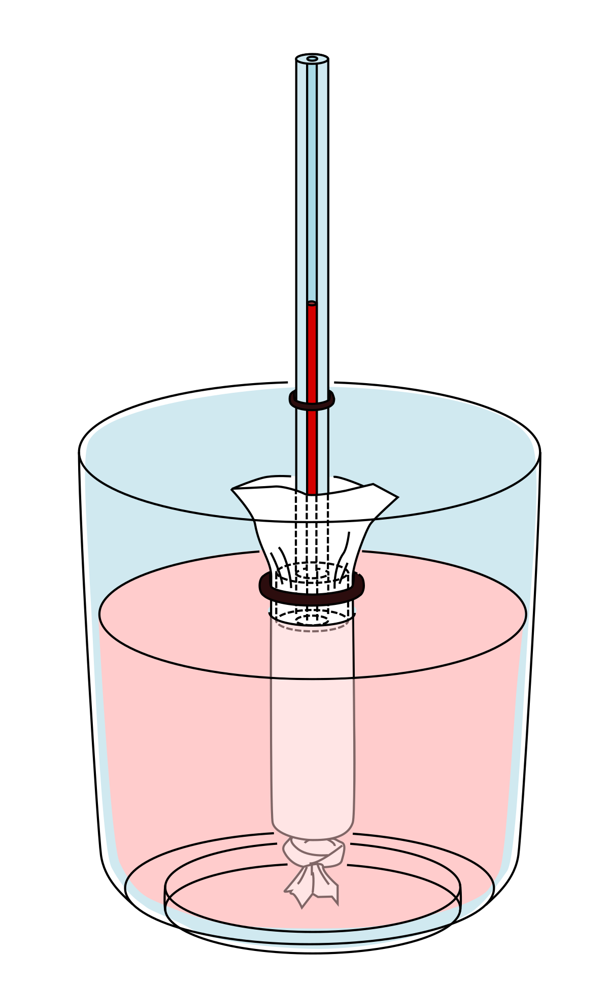 Modelling digestion using visking tubing - ScienceDemo.org