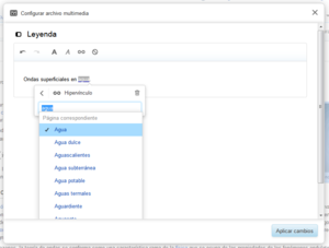 VisualEditor Edición de Medios 6.png