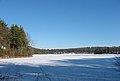 Walden-winter.jpg