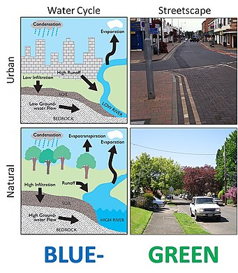 Comparison of hydrologic (water cycle) and environmental (streetscape) attributes in conventional (upper) and Blue-Green Cities Water Cycle and Streetscape in Blue-Green Cities.jpg