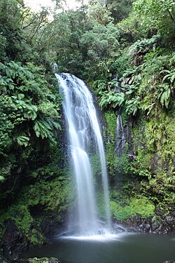 Waterfall Montagne d Ambre MS5563.jpg