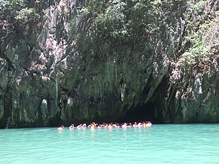 Emerald Cave (Thailand)