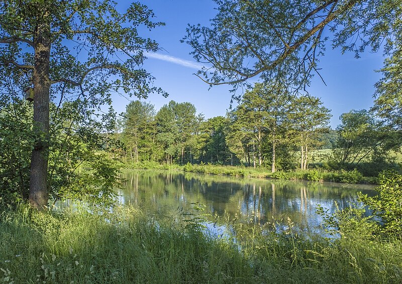 File:Weiher in Dippach bei Ermershausen.jpg