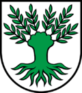 Wappen von Widen