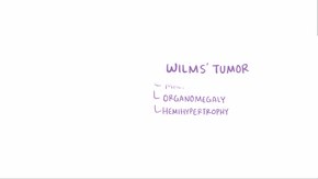 ملف:Wilms tumor.webm