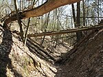 Wolfsschlucht (Märkische Schweiz)