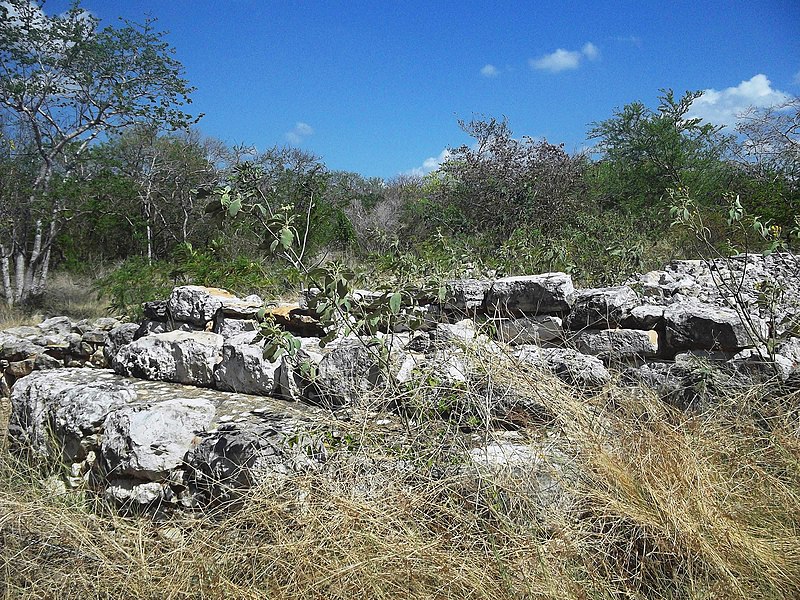 File:Xamán-Susulá, Mérida, Yucatán (11).jpg