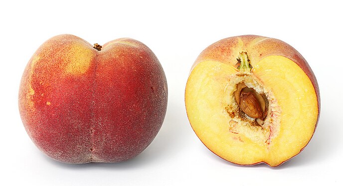 Yellow peach and cross section.jpg