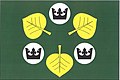 Zelenecká Lhota Flag.jpg