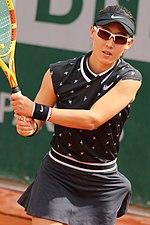 Vignette pour Zheng Saisai